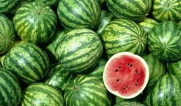 全球更新.今日吃瓜每日必吃,每日必吃“吃瓜”盛宴，紧跟时事热点